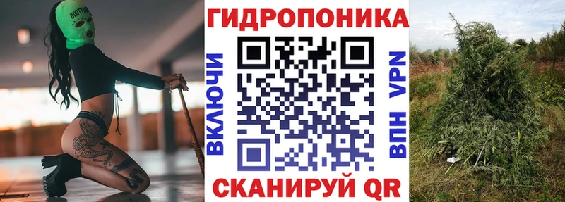 МАРИХУАНА THC 21%  Орск 
